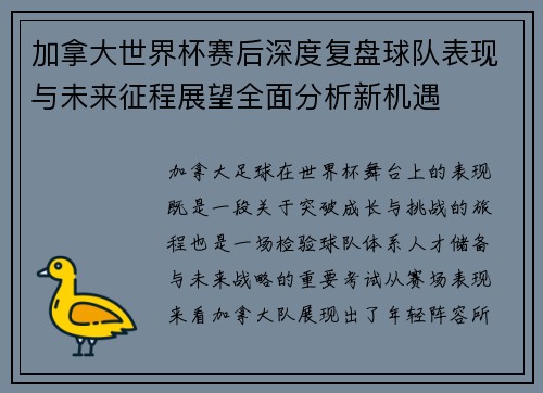 加拿大世界杯赛后深度复盘球队表现与未来征程展望全面分析新机遇